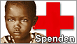 Spende, Onlinespenden